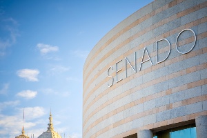 Becas de comunicación en el Senado